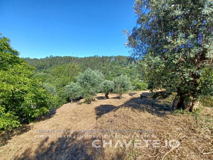 Image No.51-3 Bed House for sale