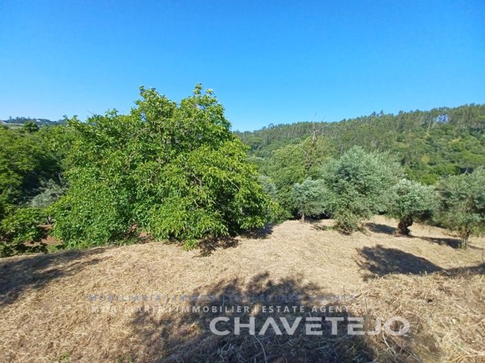 Image No.52-3 Bed House for sale