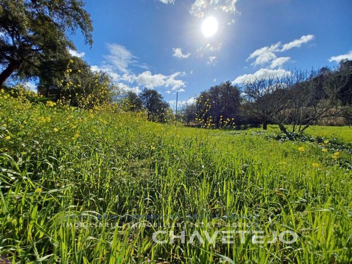 Image No.1-Plot for sale