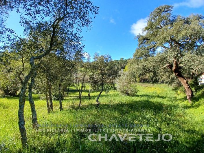 Image No.3-Plot for sale