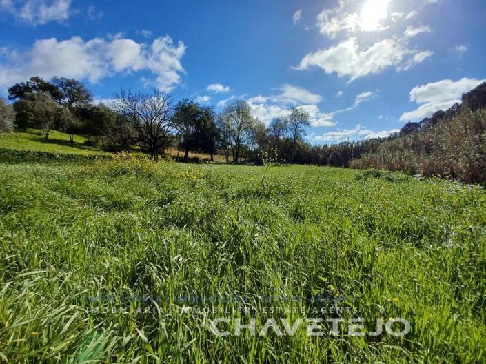 Image No.7-Plot for sale