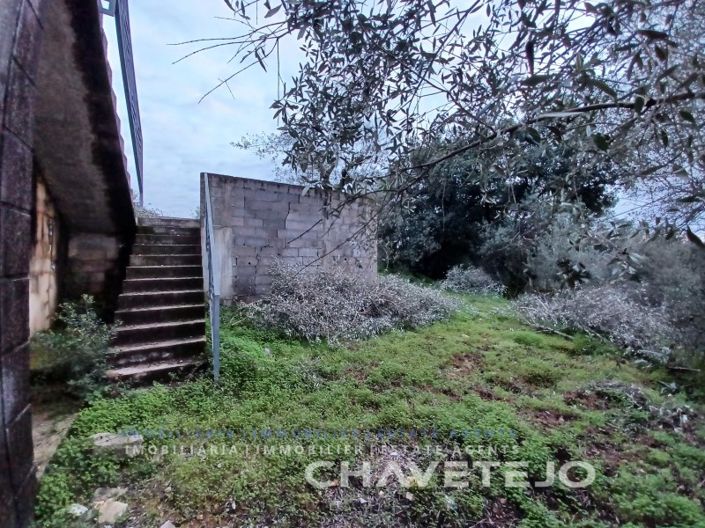 Image No.50-3 Bed House for sale