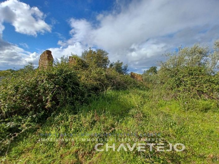 Image No.11-Plot for sale