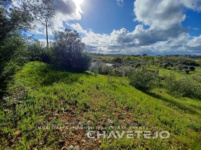 Image No.14-Plot for sale