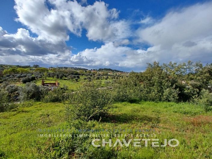 Image No.15-Plot for sale