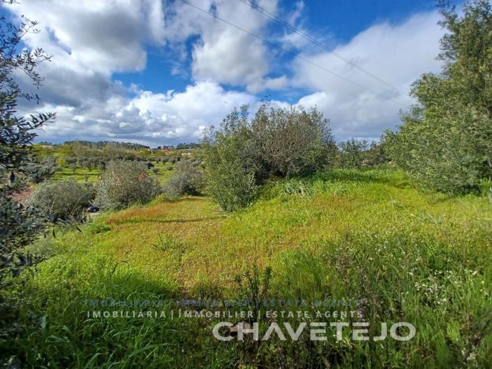 Image No.2-Plot for sale