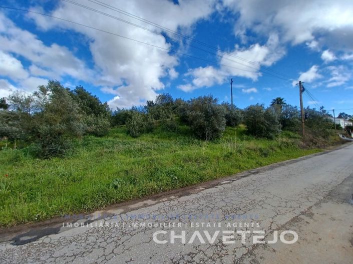 Image No.4-Plot for sale