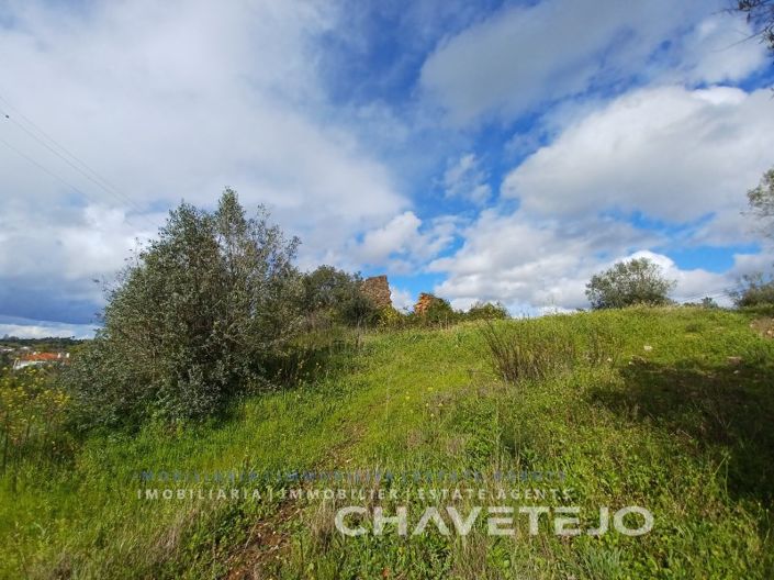 Image No.8-Plot for sale