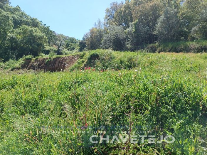 Image No.8-Plot for sale