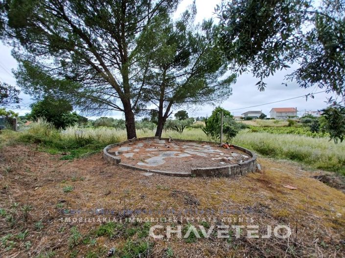 Image No.15-3 Bed House for sale