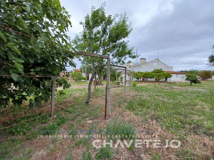 Image No.16-3 Bed House for sale