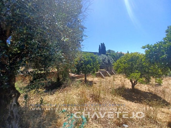 Image No.4-Plot for sale