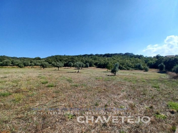 Image No.9-2 Bed House for sale