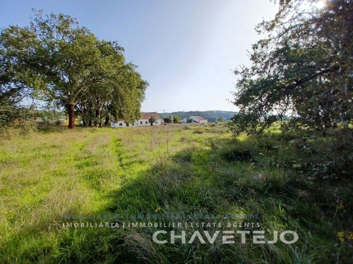 Image No.13-Plot for sale