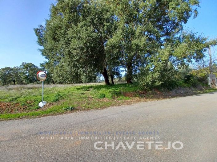 Image No.2-Plot for sale