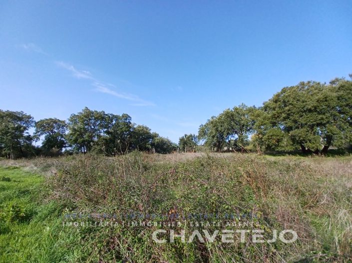 Image No.6-Plot for sale