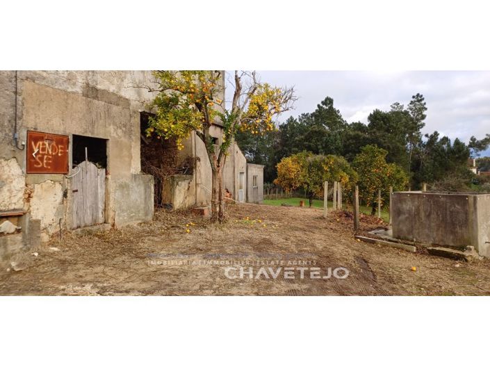 Image No.22-4 Bed House for sale