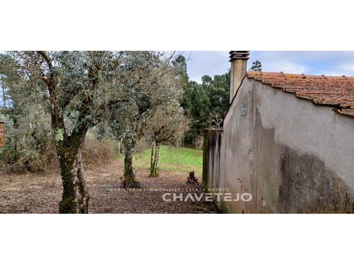 Image No.23-4 Bed House for sale