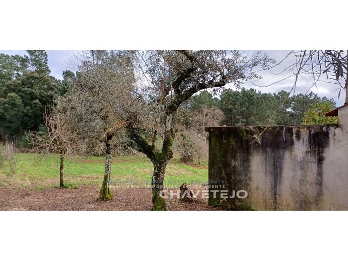 Image No.24-4 Bed House for sale