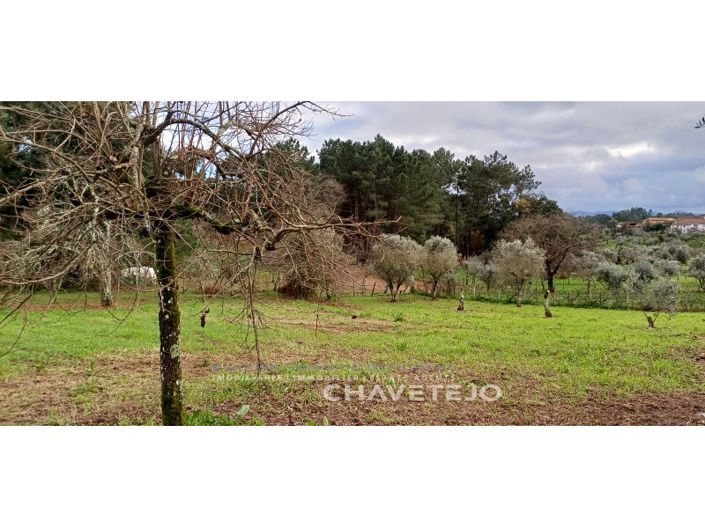 Image No.28-4 Bed House for sale