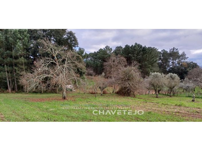 Image No.29-4 Bed House for sale