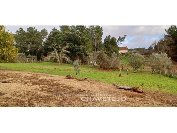 Image No.32-4 Bed House for sale