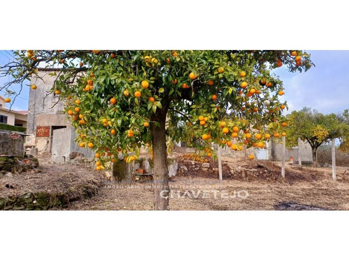 Image No.33-4 Bed House for sale