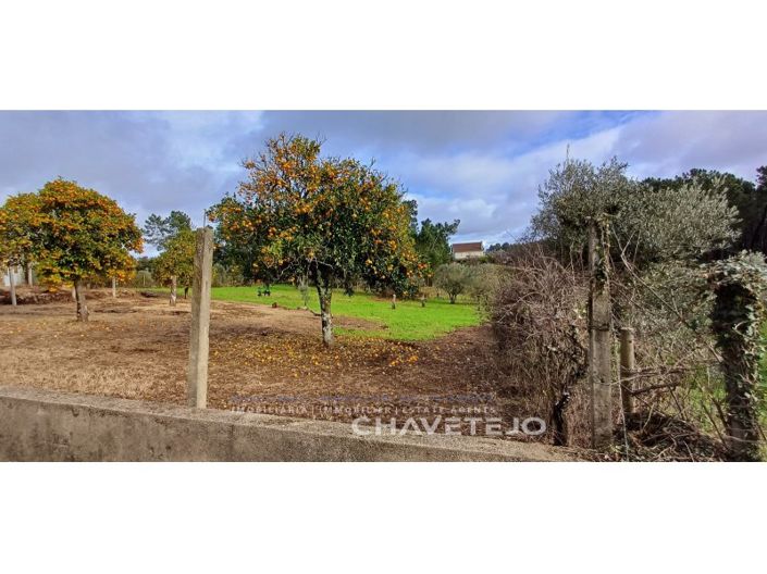 Image No.35-4 Bed House for sale