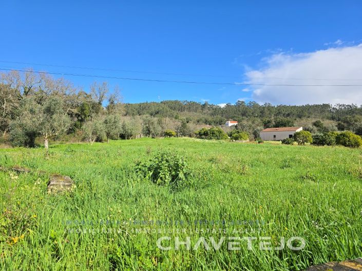 Image No.19-4 Bed House for sale