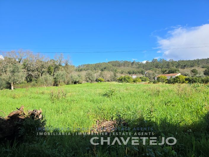 Image No.34-4 Bed House for sale