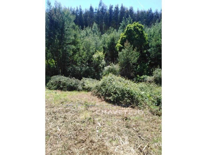 Image No.30-2 Bed House for sale