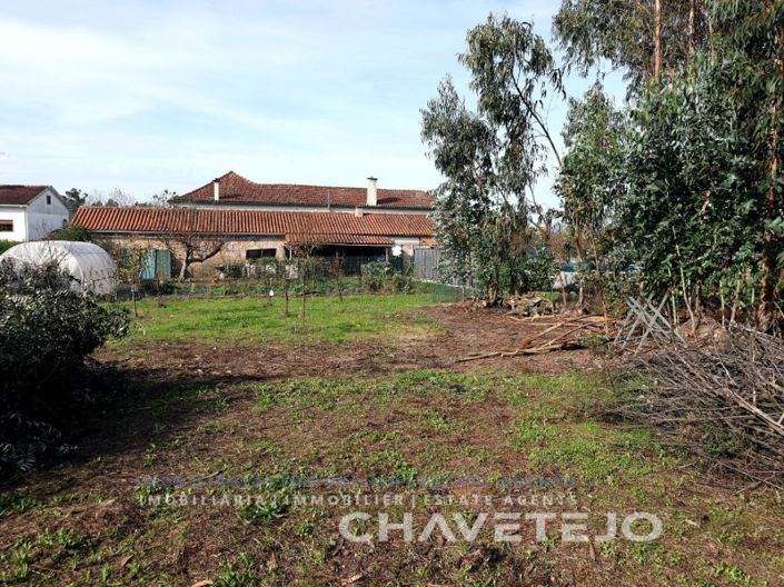 Image No.24-5 Bed House for sale