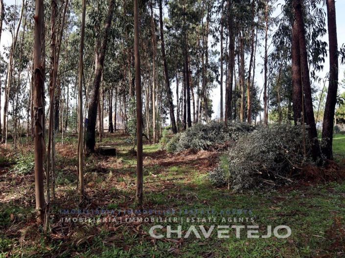 Image No.25-5 Bed House for sale