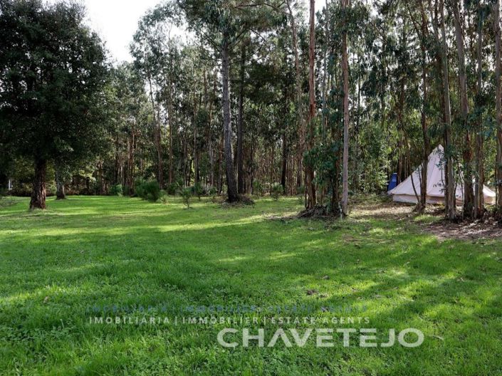 Image No.51-5 Bed House for sale