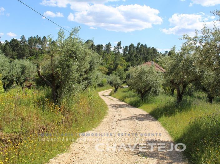 Image No.28-7 Bed House for sale