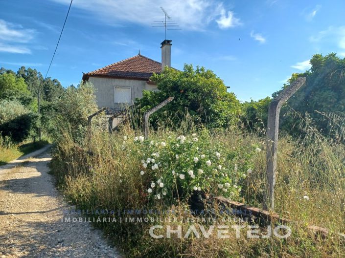 Image No.48-7 Bed House for sale