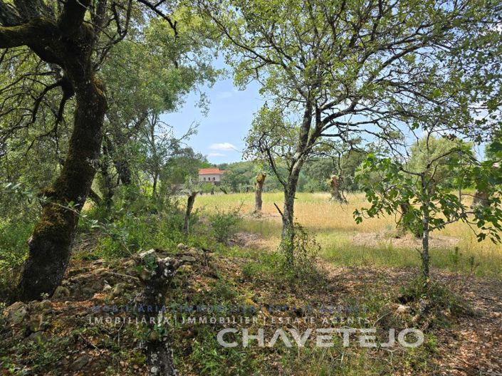 Image No.20-2 Bed House for sale