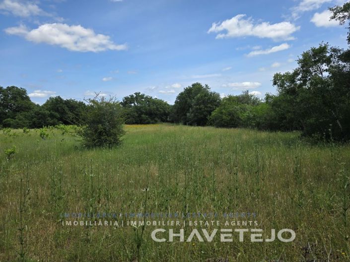 Image No.23-2 Bed House for sale