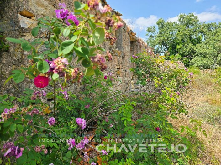 Image No.29-2 Bed House for sale