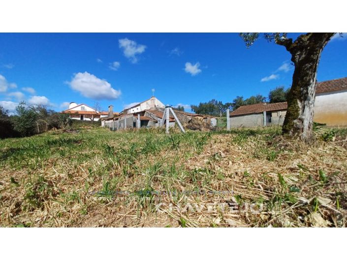 Image No.22-3 Bed House for sale