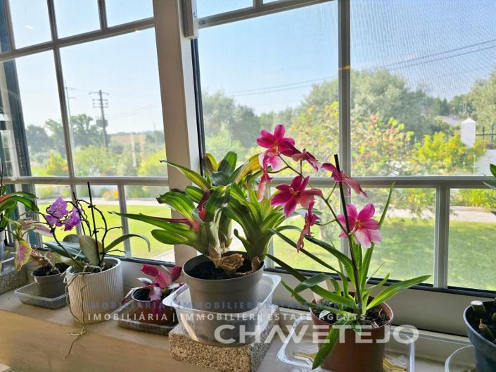 Image No.18-3 Bed House for sale