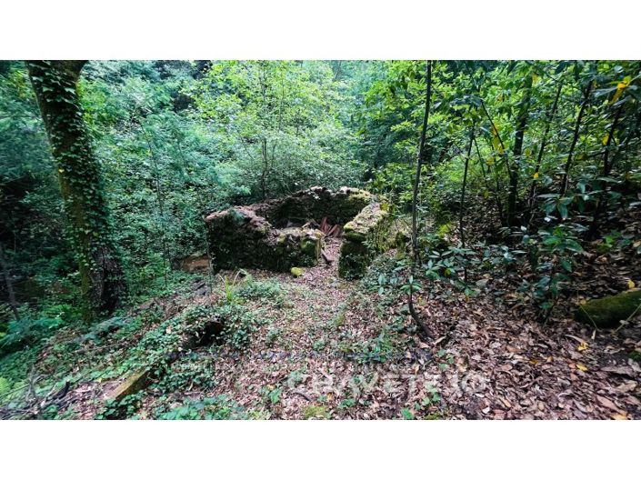 Image No.11-Farmhouse for sale