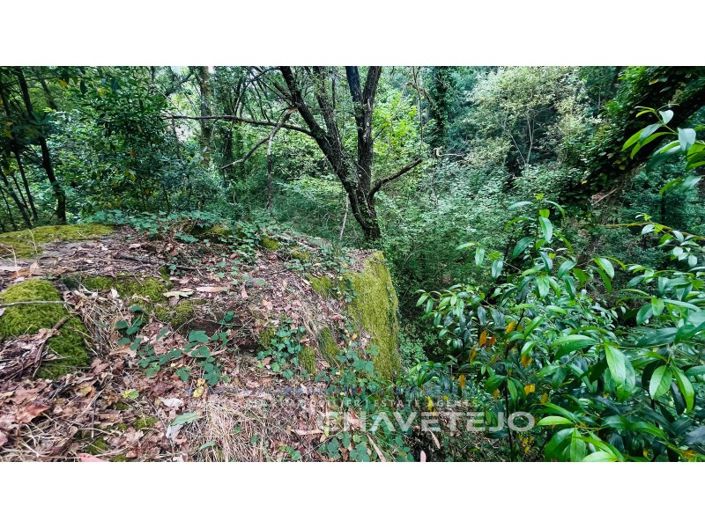 Image No.13-Farmhouse for sale