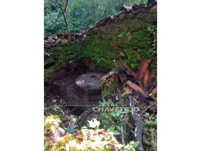 Image No.15-Farmhouse for sale