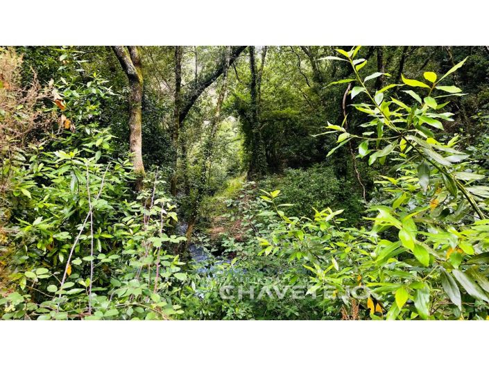 Image No.16-Farmhouse for sale