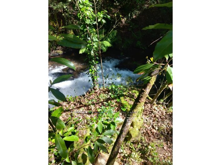 Image No.19-Farmhouse for sale