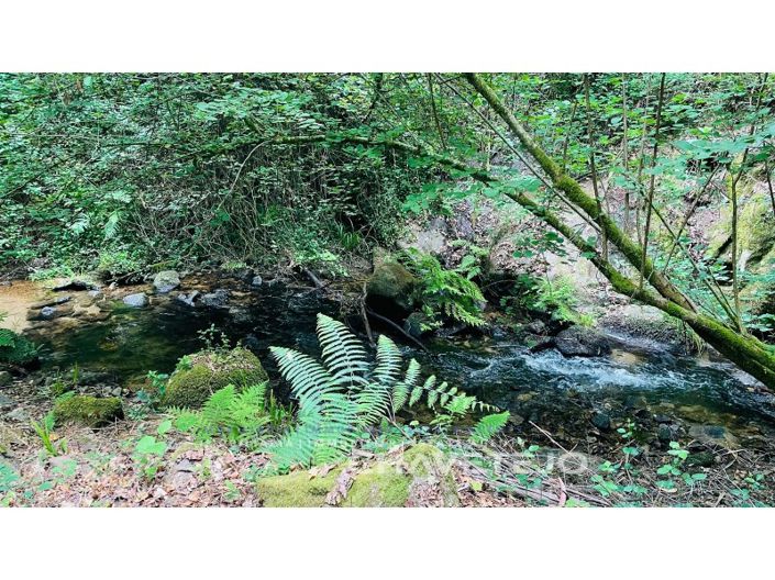 Image No.2-Farmhouse for sale