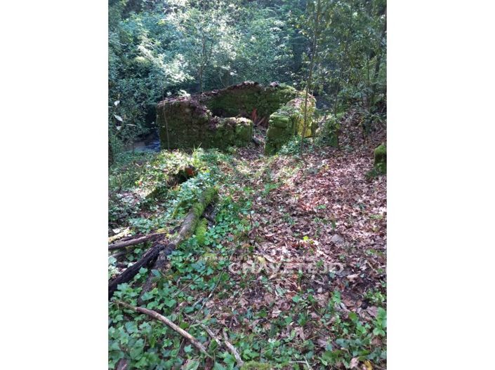 Image No.20-Farmhouse for sale