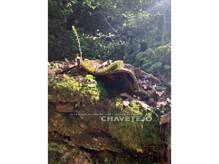 Image No.21-Farmhouse for sale