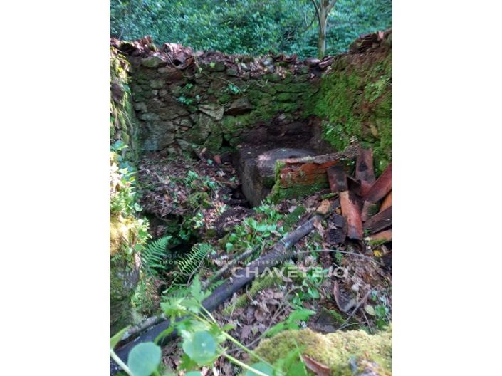 Image No.25-Farmhouse for sale